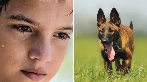 Características de los seres vivos