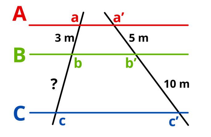 Teorema de Tales: Ejercicio 1