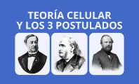 Teoría celular