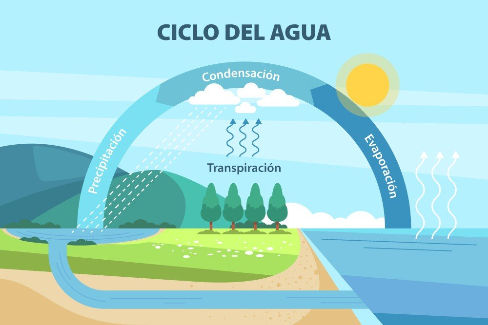 El ciclo del agua como uno de los tipos de ciclos biogeoquímicos más importantes