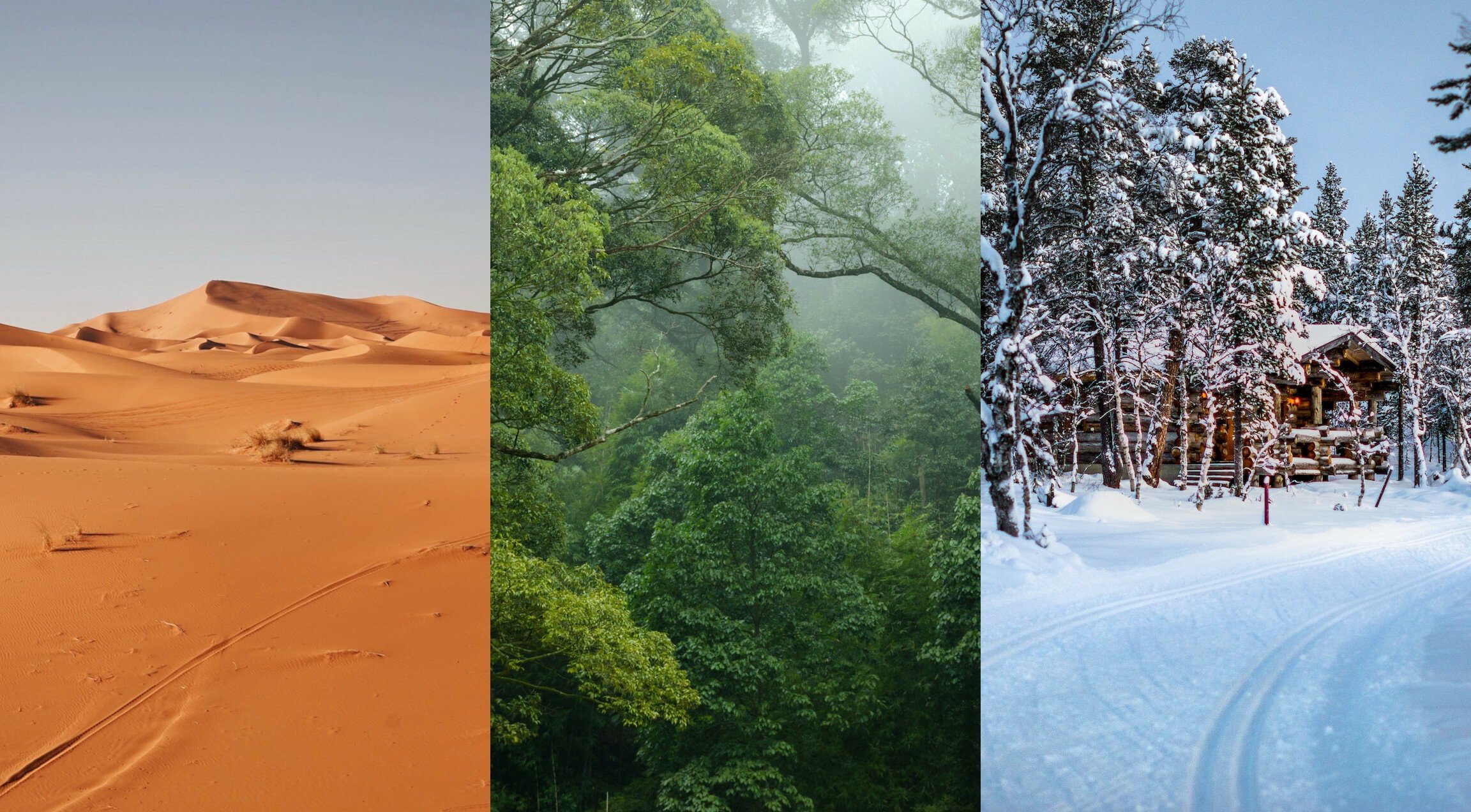 Tres ejemplos de clima diferentes: árido o desértico, tropical húmero y polar ártico.