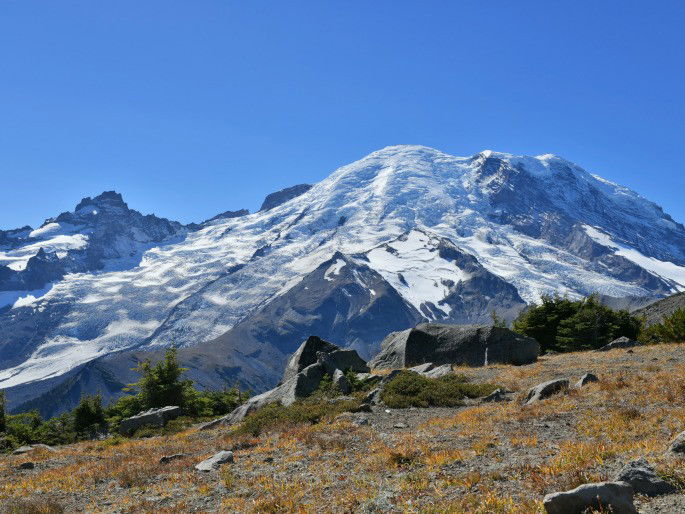 Tundra alpina ejemplo