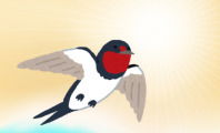 Una golondrina no hace verano